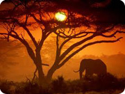 Secret Destinations - kenya sunset1