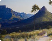 Secret Destinations - tmbs and lions head 1