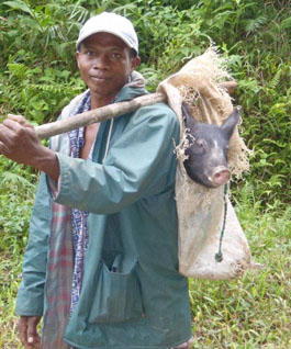 Madagascar mountainbike - 34