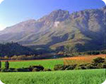 cape winelands - 1b