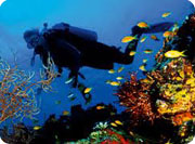 diving adventures - 3a