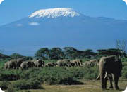 kilimanjaro - 1a