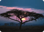 mountain bike - mission malawi - african sunset